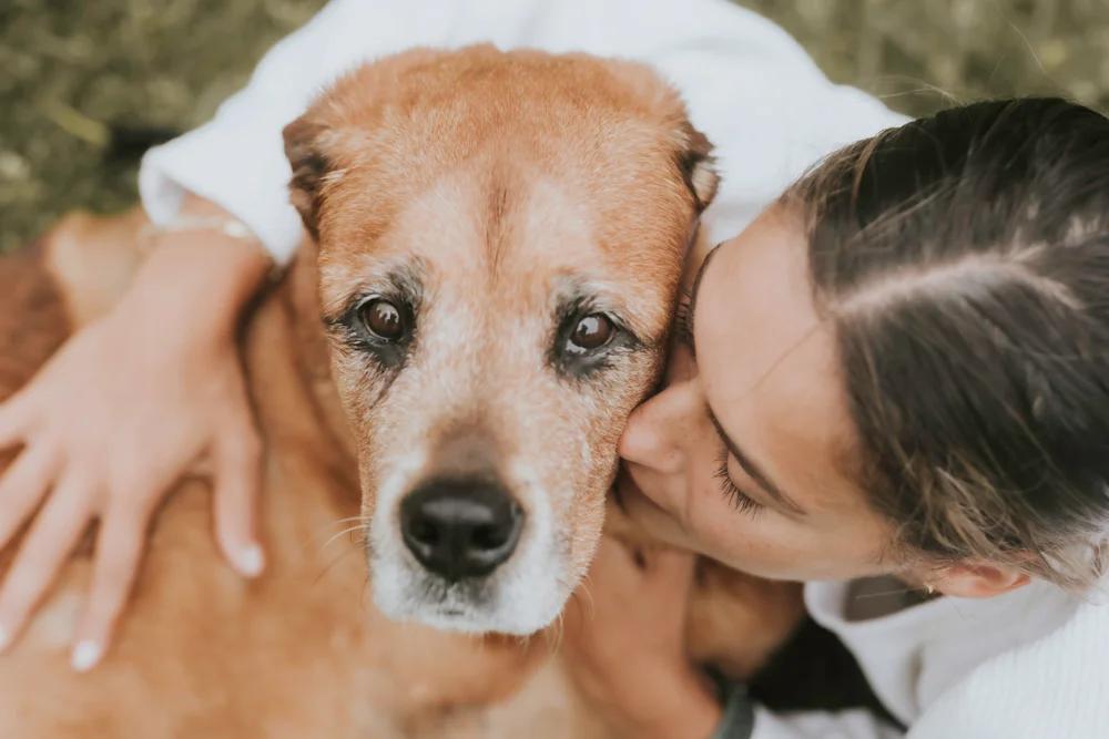 woman caring for senior dog
