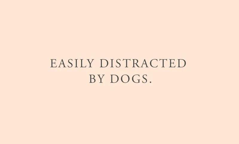 The quote "EASILY DISTRACTED BY DOGS." written on a light peach background.