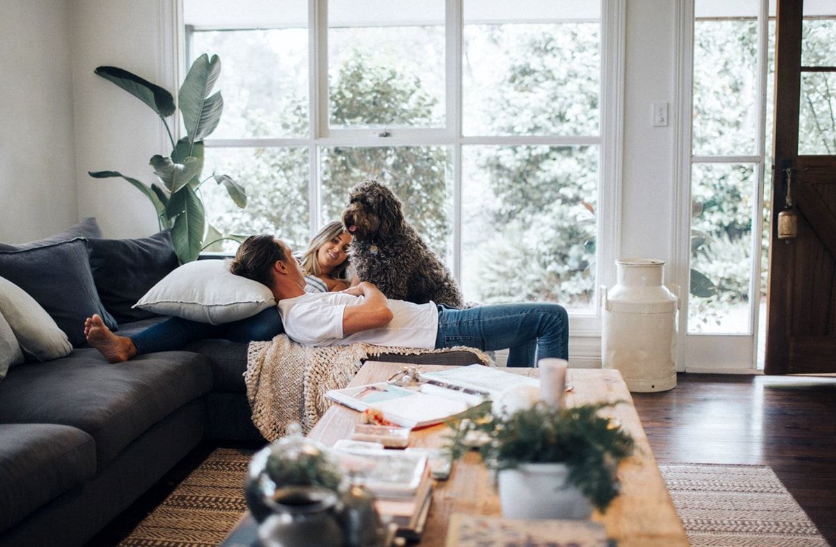 Couple relaxing on a sofa with their fluffy brown dog during a candid in-home pet photo shoot in a bright living room.