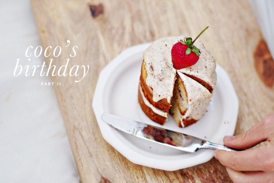 The BEST Dog Birthday Cake Recipe | The best Dog Birthday Cake Recipe of all time. Super easy to make, healthy, dog-safe ingredients and 100% tasty! Grab the FREE recipe here.