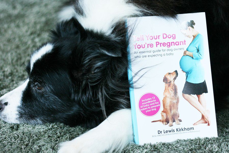 Tell Your Dog You're Pregnant | Pretty Fluffy