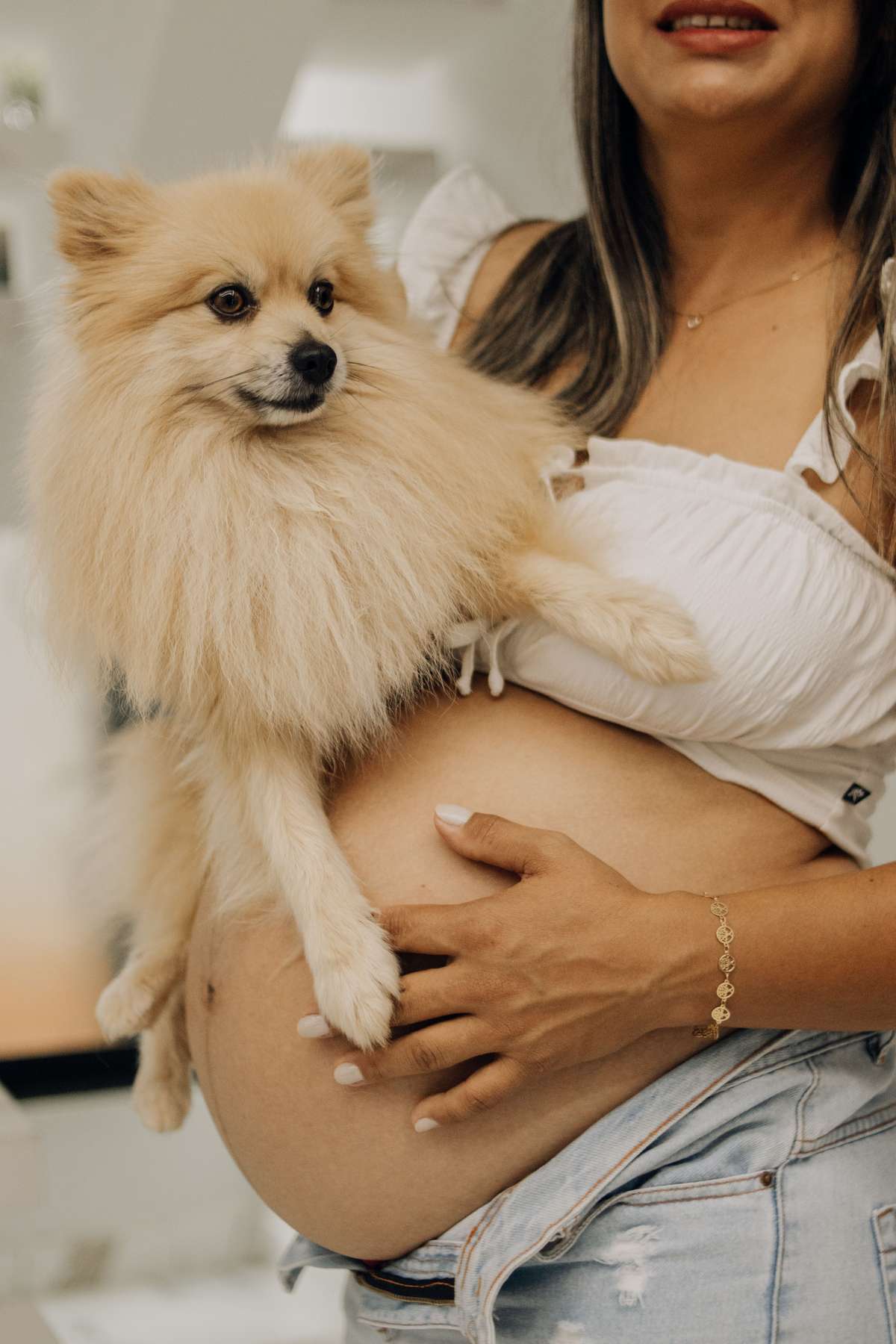 A pregnant woman holding a small fluffy Pomeranian next to her baby bump.