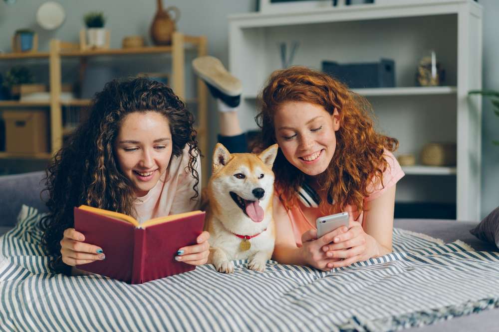 Two students relax on a bed with a Shiba Inu dog, reading a book and looking at a smartphone.