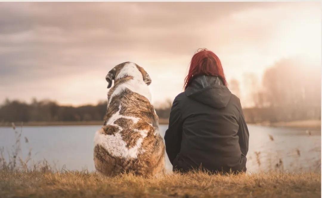 A person and their dog sit side by side on grass, looking out over a lake.