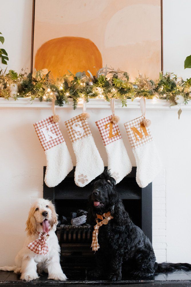 Christmas DIY Dog Stockings - No Sewing Needed