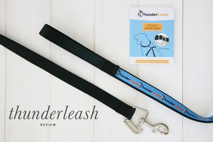 ThunderLeash Review | No Pull Dog Lead Harness | Pretty Fluffy
