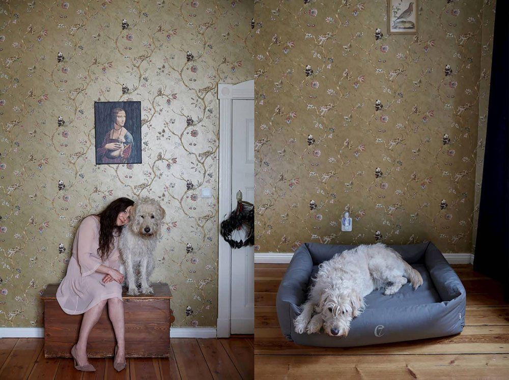 Woman sitting with a shaggy dog and a dog resting in a grey CLOUD 7 dog bed against floral wallpaper.