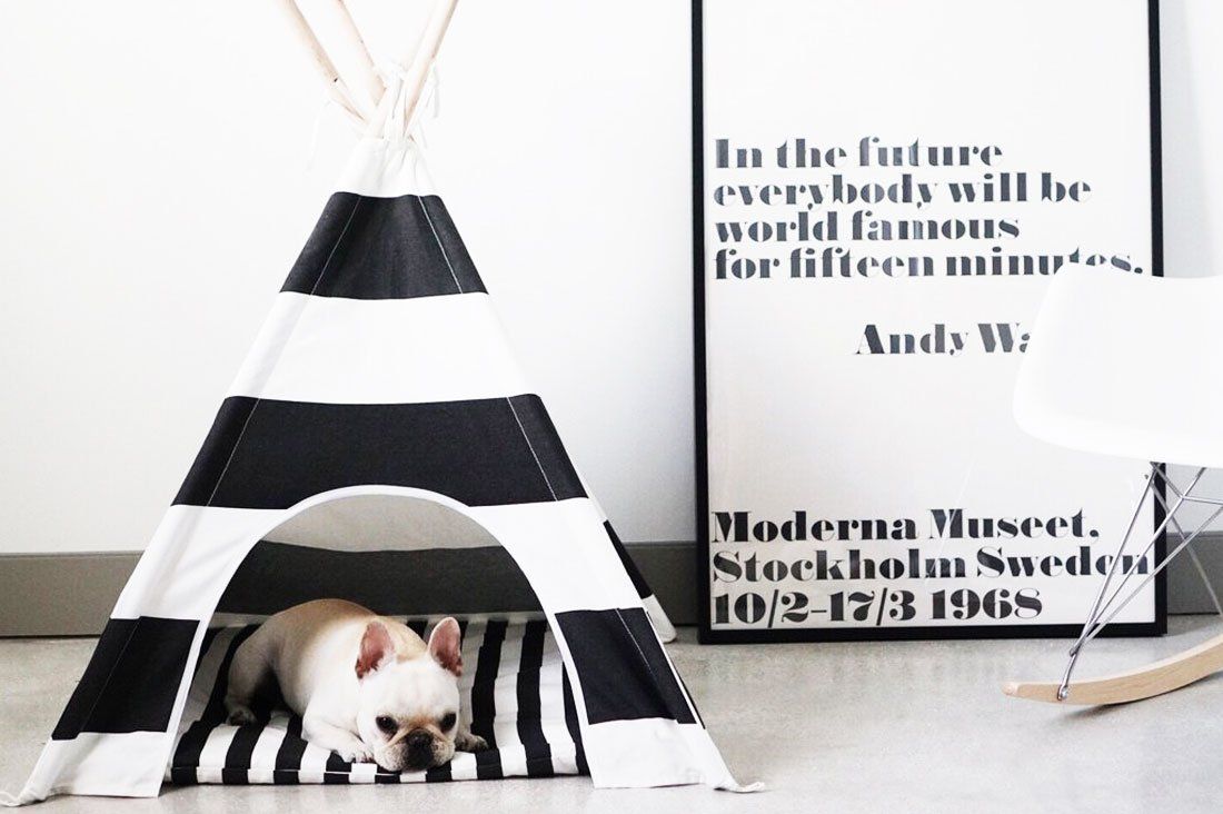 French Bulldog resting in a black and white striped dog teepee, a trending monochrome dog accessory.