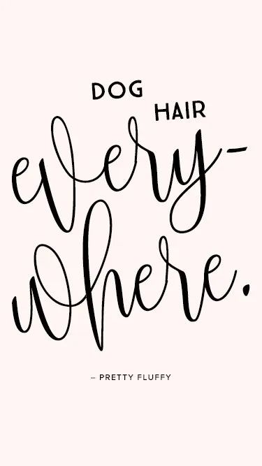 'Dog Hair Everywhere' Free Dog Desktop Wallpaper & Screensaver