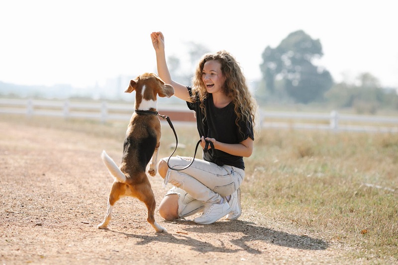 excited woman playing with dog