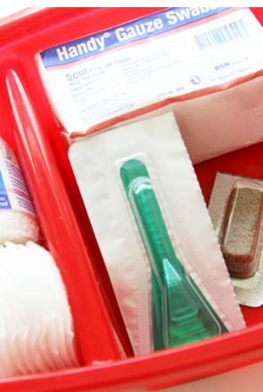 DIY Pet First Aid Kit - A full tutorial and checklist on how to make your own DIY Pet First Aid Kit for pet related emergencies and accidents. Includes pet medical tips. | Pretty Fluffy