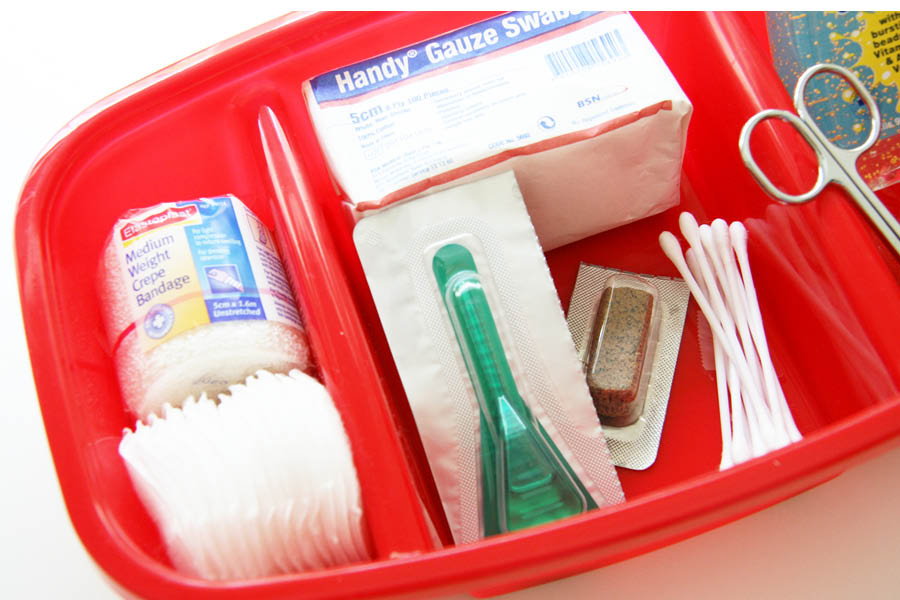 DIY Pet First Aid Kit - A full tutorial and checklist on how to make your own DIY Pet First Aid Kit for pet related emergencies and accidents. Includes pet medical tips. | Pretty Fluffy