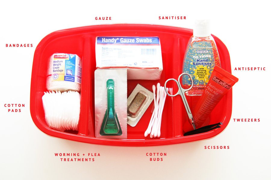 Diy dog first aid kit Clearance