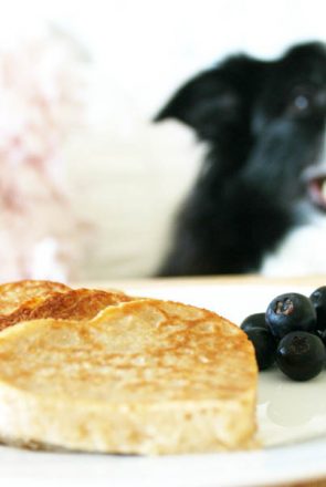 Dog Treat Pancake Recipe | Pretty Fluffy
