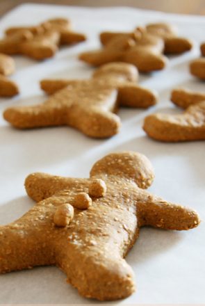 The Best Gingerbread Dog Treat Recipe | Pretty Fluffy | The best Gingerbread Dog Treat Recipe of all time. Super easy to make, healthy, dog-safe ingredients and 100% tasty! Grab the FREE recipe here.