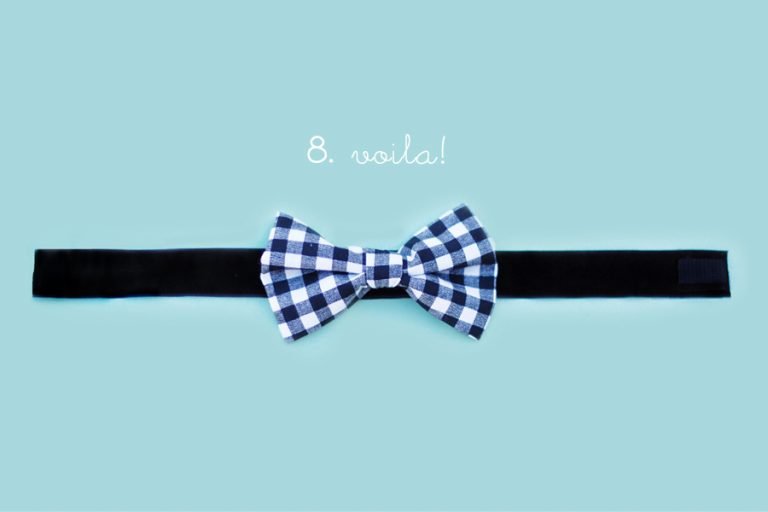 How to Make a DIY Dog Bow Tie (NoSewing Needed!)