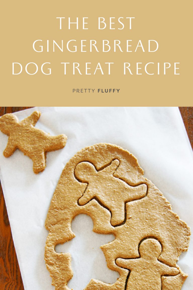 Gingerbread for Dogs The Best Gingerbread Dog Treat Recipe