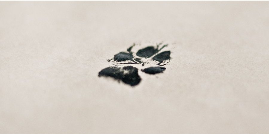 DIY-Paw-Print-Art