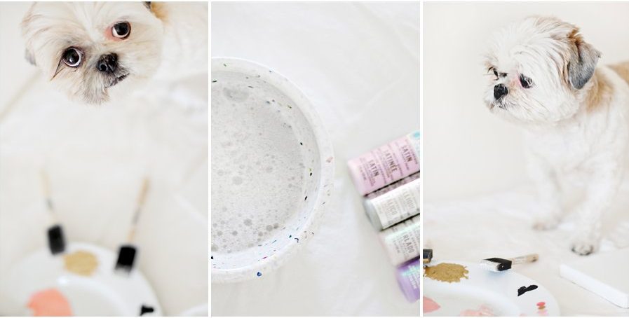 How to make a DIY dog paw painting