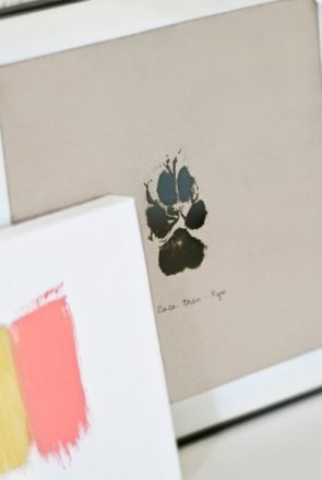 diy dog paw painting