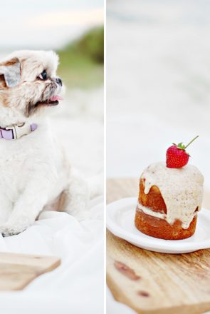 The BEST Dog Birthday Cake Recipe | The best Dog Birthday Cake Recipe of all time. Super easy to make, healthy, dog-safe ingredients and 100% tasty! Grab the FREE recipe here.