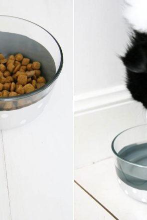 DIY Color Dipped Pet Bowls | Pretty Fluffy