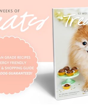 52 Weeks of Treats ebook - Simple & Healthy Dog Treat Recipes for Every Season
