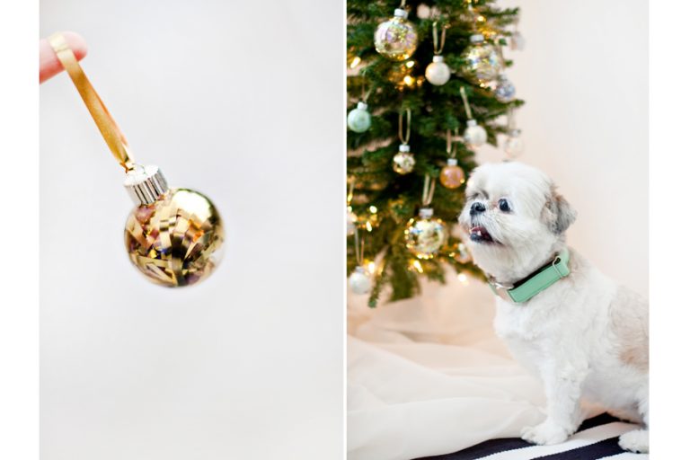 DIY Sparkly PetFriendly Ornaments (+ Free Dog Reindeer Print)