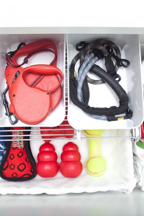 Organized Dog Drawer | Pretty Fluffy