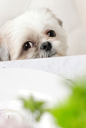 St Patrick's Brunch Ideas - Menu & DIY Recipes