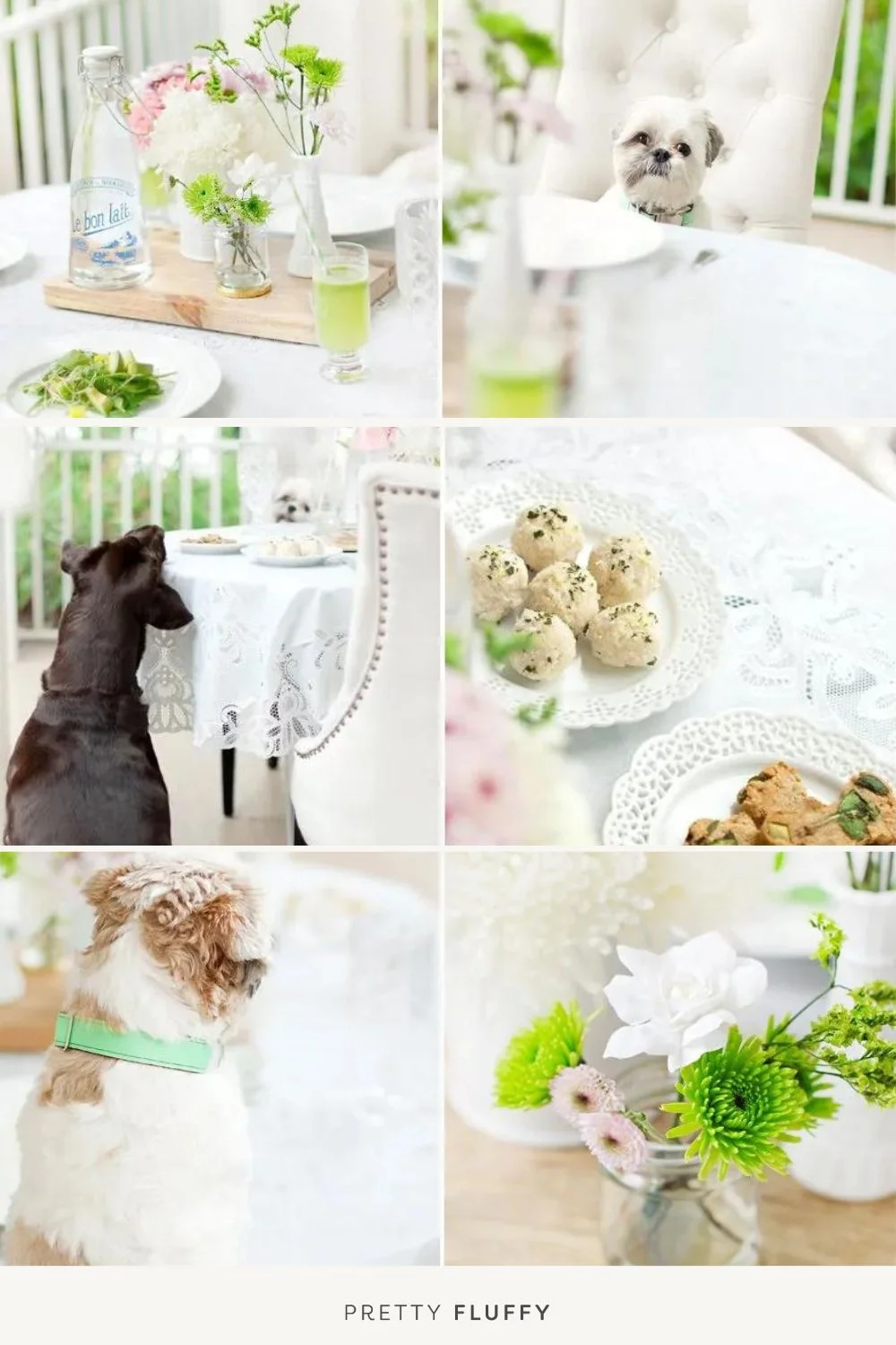Dog Friendly St Patrick’s Brunch The Menu & DIY