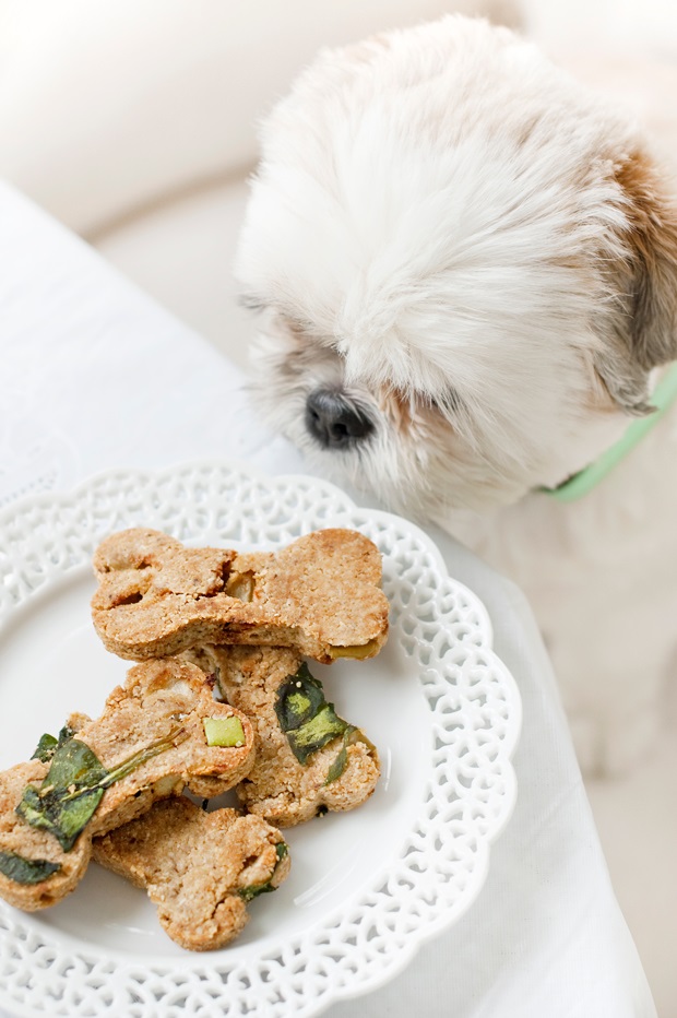 Spinach Apple Dog Treats - grab the healthy homemade dog treat recipe here.