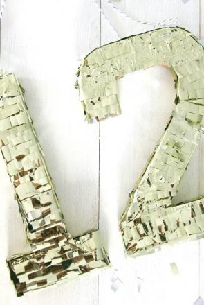 DIY Dog Treat Pinata | Pretty Fluffy