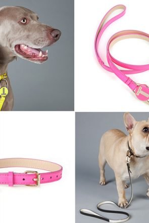 Ted Baker Patent Collars and Leads | Pretty Fluffy