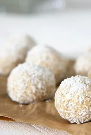 No Bake Coconut Dog Treat Recipe | Pretty Fluffy