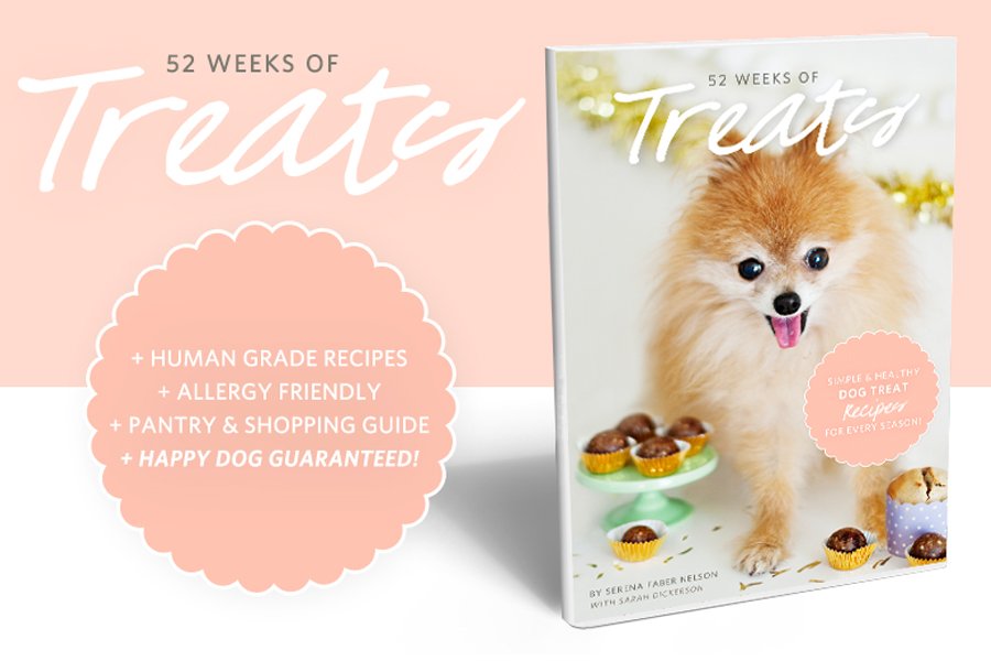 52 WEEKS OF TREATS - Simple & Healthy Dog Treat Recipes ebook | Pretty Fluffy