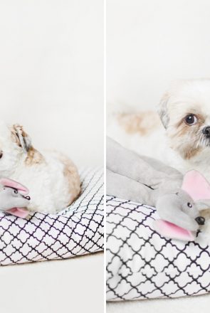 DIY: No Sew Pet Bed