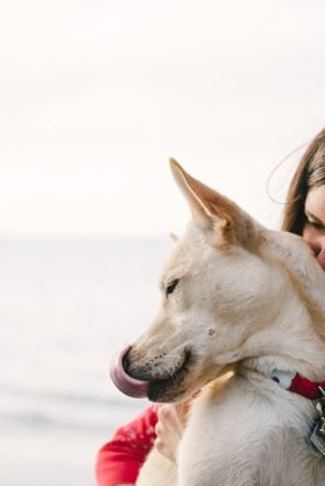 Juneau the Husky by Photo Lab Pet Photography | Pretty Fluffy