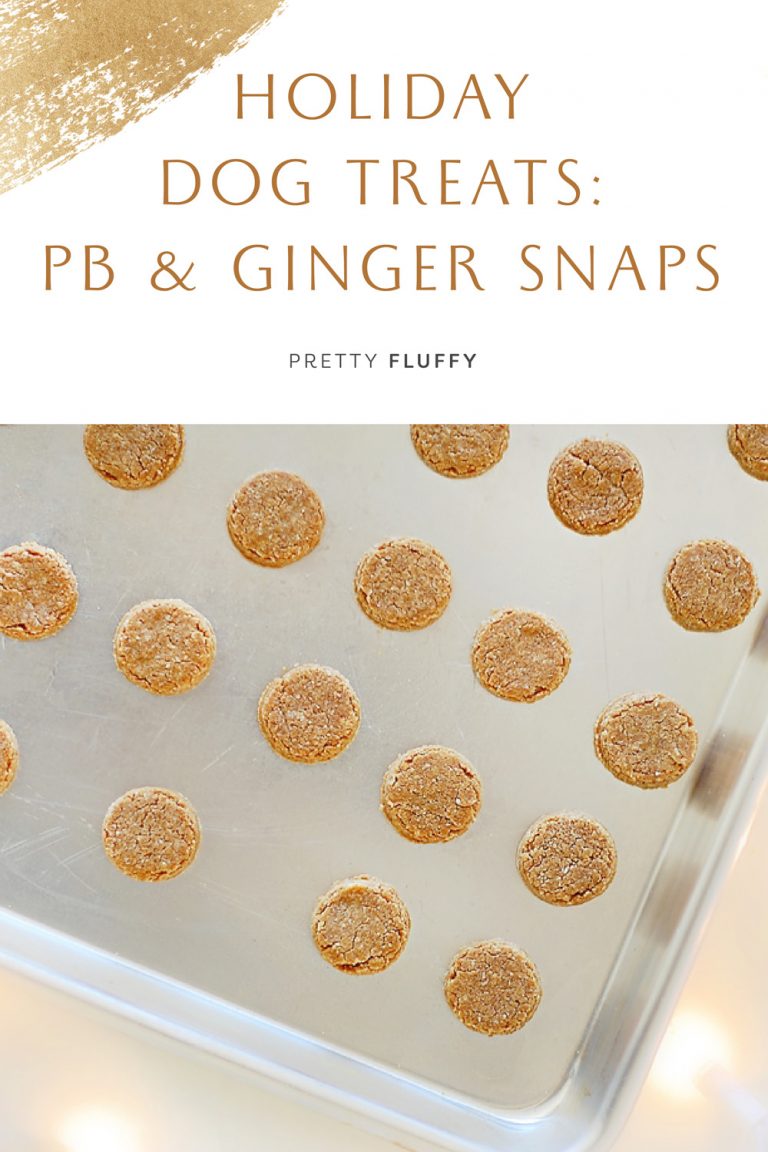 Holiday Dog Treats PB & Ginger Snaps for Dogs Recipe