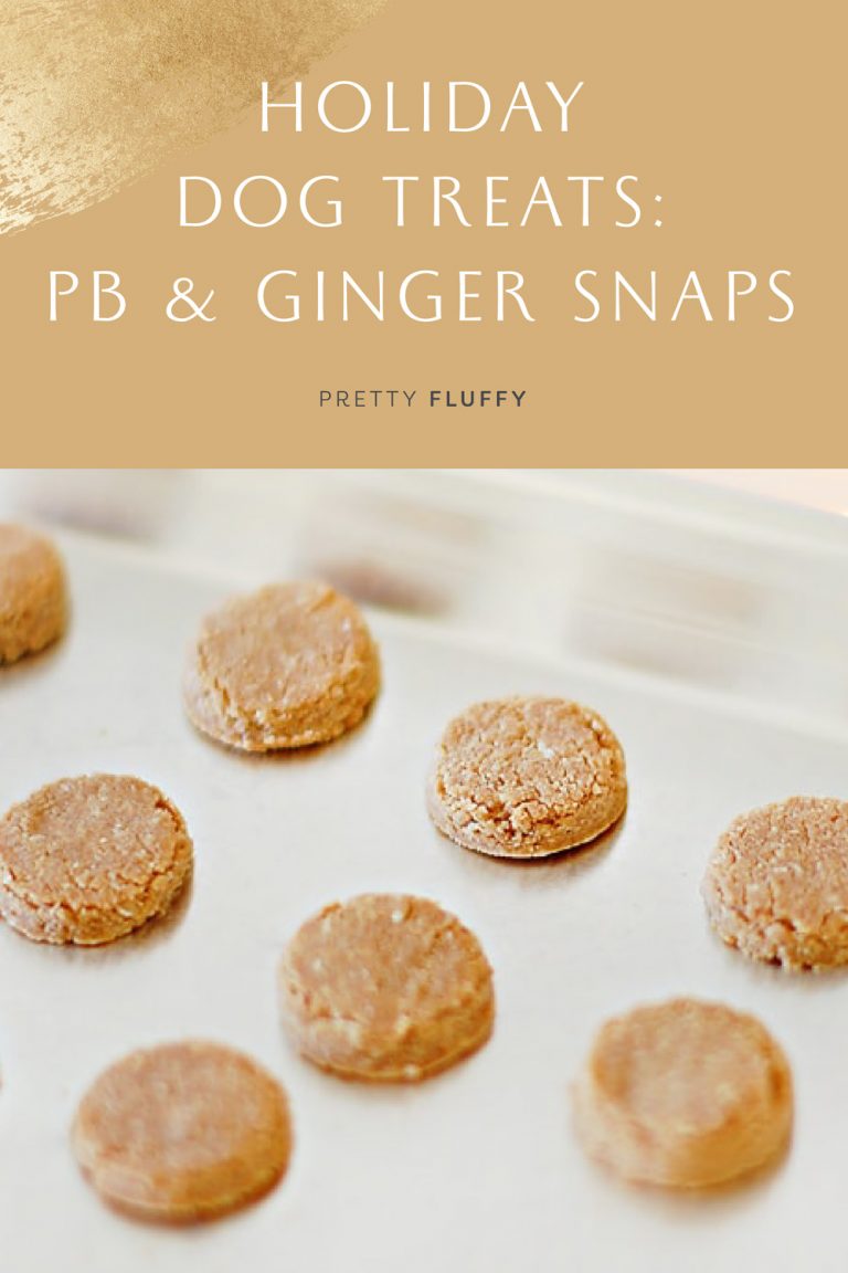 Holiday Dog Treats PB & Ginger Snaps for Dogs Recipe