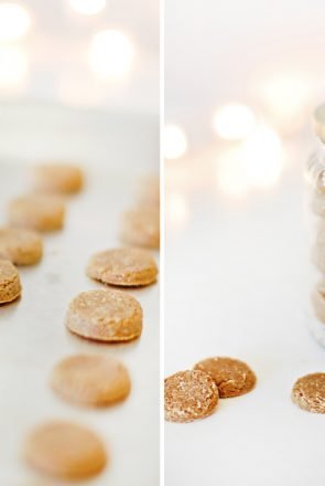 Holiday Dog Treats - PB & Ginger Snaps Recipe - These holiday dog treats are healthy, yummy and easy to make. Grab the recipe here and make your own treats for your dog and their friends these holidays.