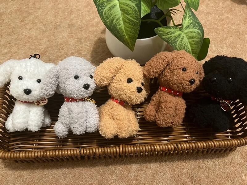 Bubble Craft Designs