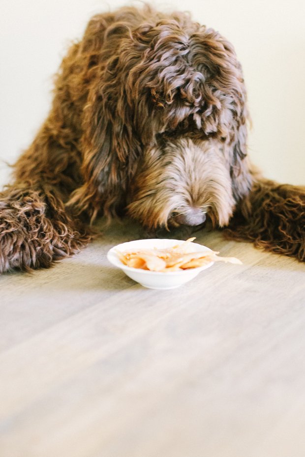 Chicken Jerky for Dogs Recipe
