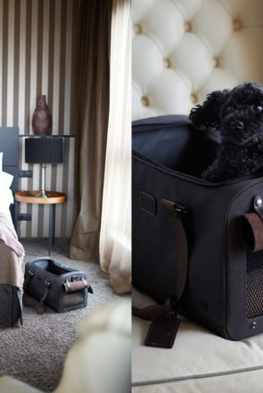Cloud 7 and Tumi Travel Pet Accessories | Pretty Fluffy