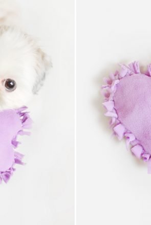 DIY: No Sew Heart Dog Toy