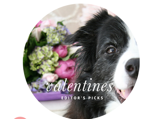 Valentines Day Dog Accessories