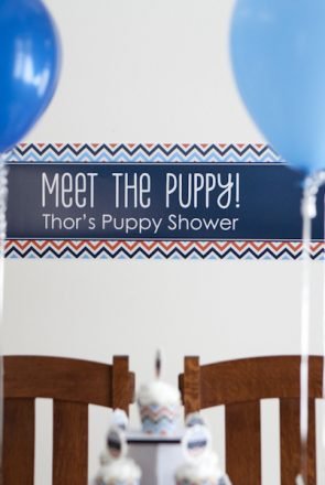 Puppy Shower Ideas - the best way to welcome a new furry member of the family