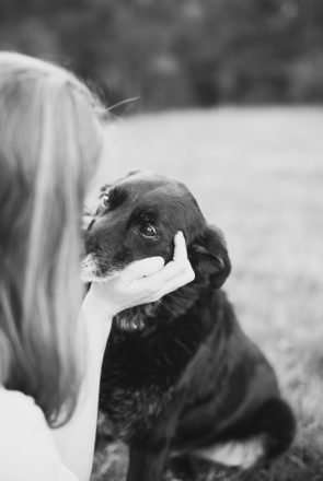 Merlin's Story by Willow & Co. | Angel Session Pet Photography | Pretty Fluffy