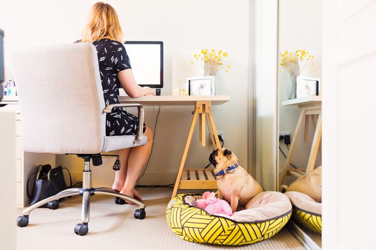 Pet Friendly Home Tour: Madeleine Burke & Wilma