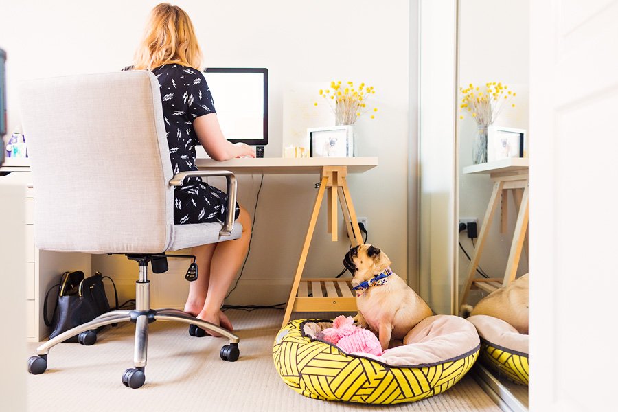 Pet Friendly Home Tour - Madeleine Burke of The Daily Mark | Pretty Fluffy